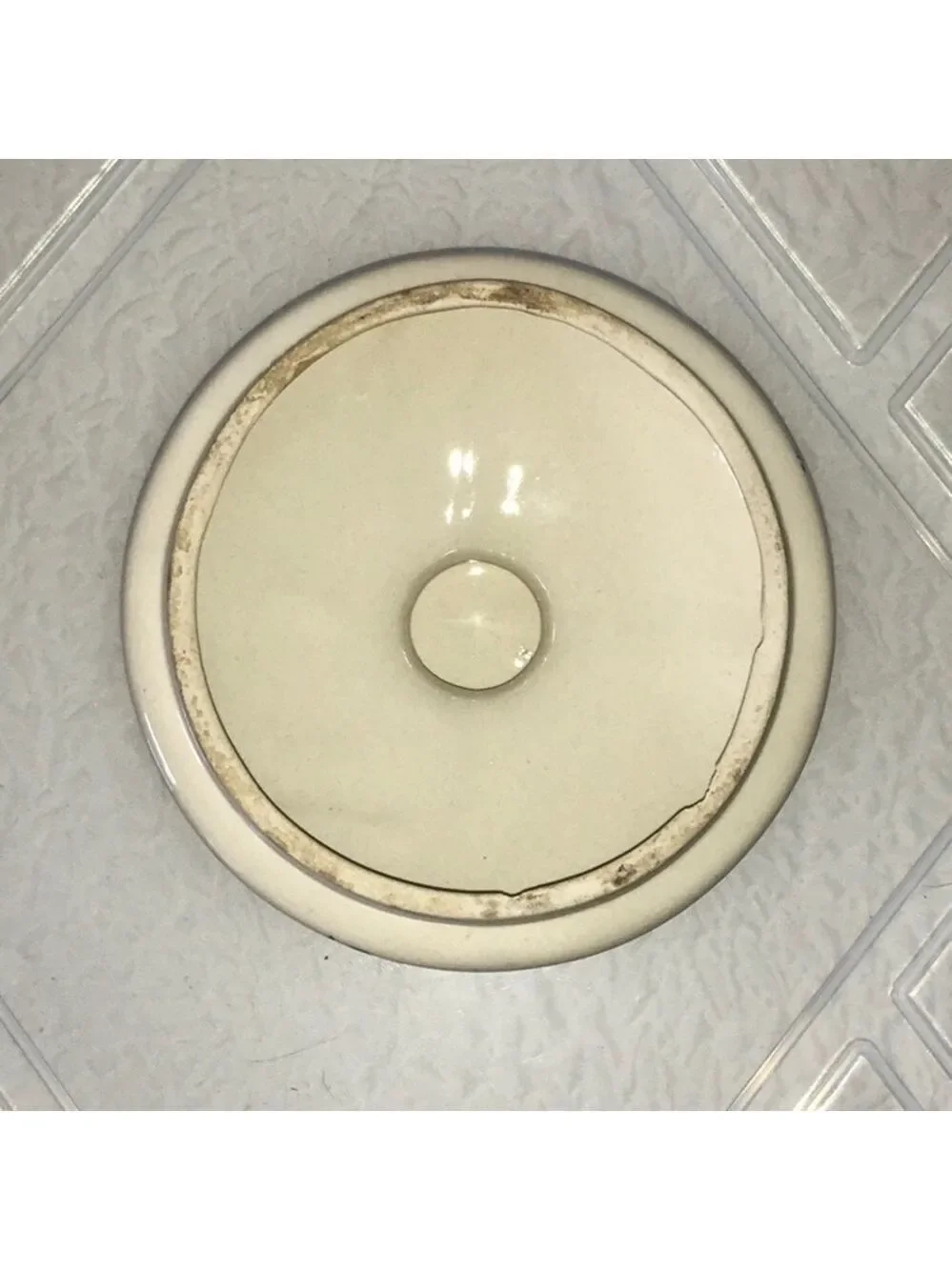 TIENSHAN Sponge Blue Goose Large Canister & Lid